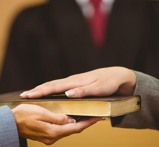 Expert Witness Litigation